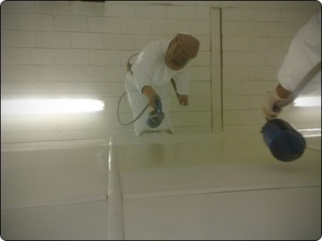 Spray starts Two of Hills finest painters set to work on the roof