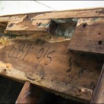 drivers door rot Rotten section of driver's door